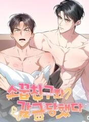 imgi_1_694846b256b6a