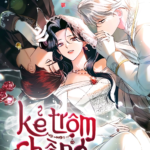 Kẻ Trộm Chồng