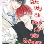 CẢM GIÁC NÀY CÓ PHẢI LÀ YÊU